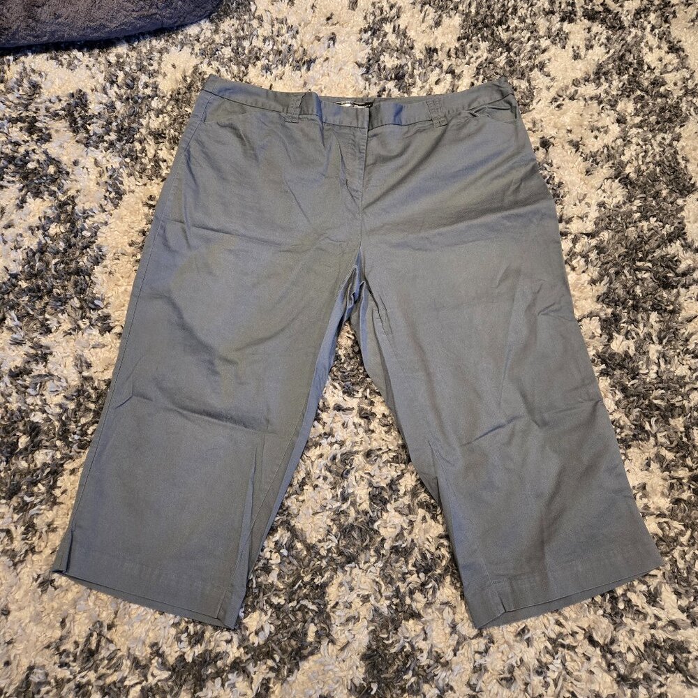 George Mid-Rise Gray Capri Pants20W